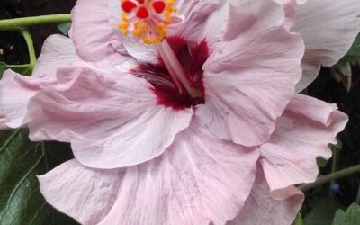 Attracting a Whole Person by Becoming a Whole Person