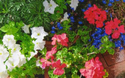 The Value of Loyalty